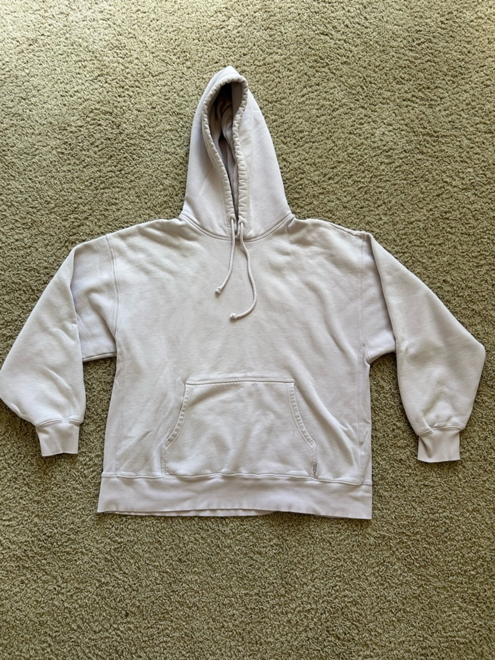 Aritzia TNA Sweatshirt